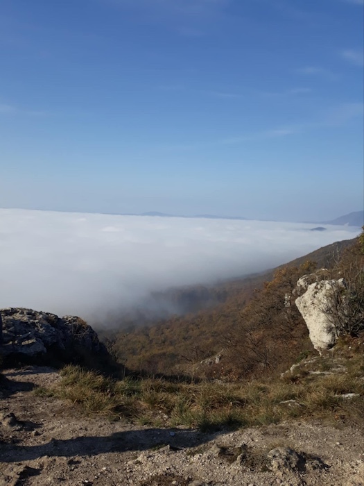 77307ba3-cd1c-445d-b54e-9e2b646f93f2