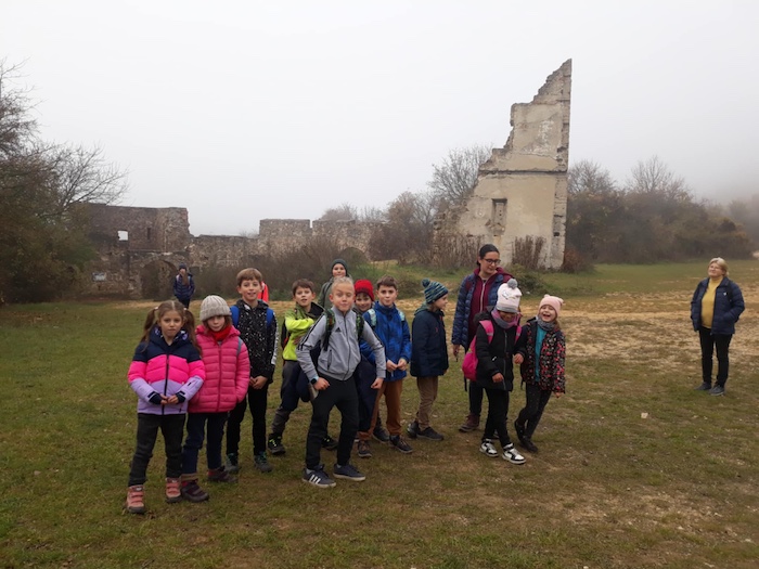 d844dfa5-20b9-42ab-bfbe-4fb9887c30b5